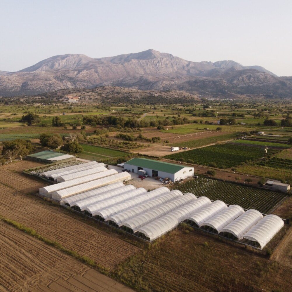 DJI_0477
