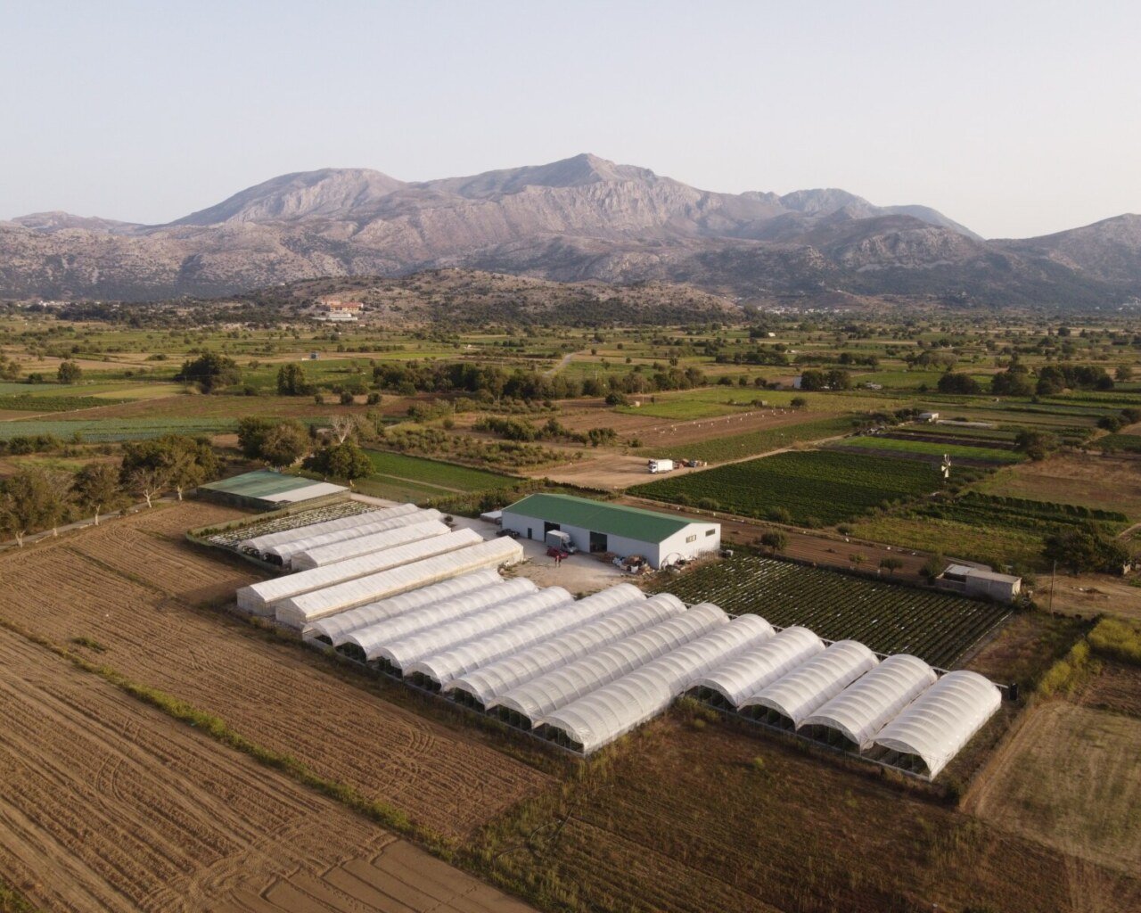 DJI_0477