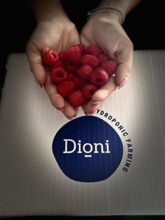 dioni2